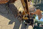 Sale Photo Thumbnail #35
