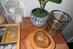 Sale Photo Thumbnail #54