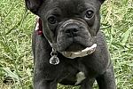Sale Photo Thumbnail #105