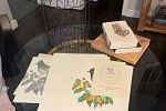 Sale Photo Thumbnail #21
