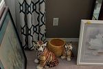 Sale Photo Thumbnail #19