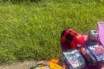 Sale Photo Thumbnail #10