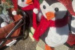 Sale Photo Thumbnail #15