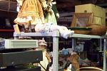 Sale Photo Thumbnail #25