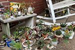Sale Photo Thumbnail #2