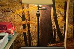 Sale Photo Thumbnail #58