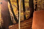 Sale Photo Thumbnail #139
