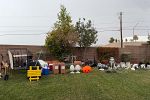 Sale Photo Thumbnail #31