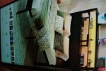 Sale Photo Thumbnail #8