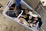 Sale Photo Thumbnail #30