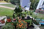 Sale Photo Thumbnail #7
