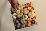Sale Photo Thumbnail #3