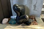 Sale Photo Thumbnail #11