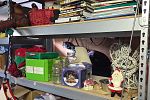 Sale Photo Thumbnail #11