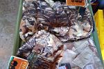 Sale Photo Thumbnail #42