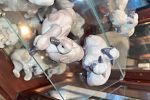 Sale Photo Thumbnail #59