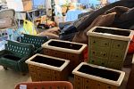 Sale Photo Thumbnail #18