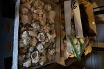 Sale Photo Thumbnail #24