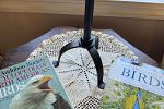 Sale Photo Thumbnail #103