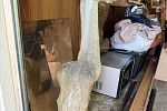 Sale Photo Thumbnail #81