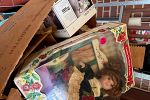 Sale Photo Thumbnail #13