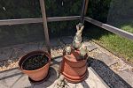 Sale Photo Thumbnail #31