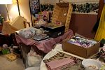 Sale Photo Thumbnail #16