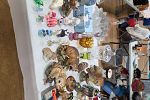 Sale Photo Thumbnail #21