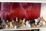 Sale Photo Thumbnail #9
