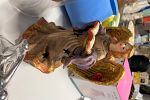 Sale Photo Thumbnail #26