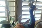 Sale Photo Thumbnail #21
