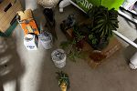 Sale Photo Thumbnail #2
