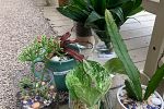 Sale Photo Thumbnail #14