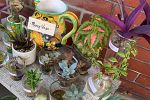 Sale Photo Thumbnail #8