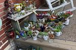 Sale Photo Thumbnail #13