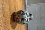 Sale Photo Thumbnail #11