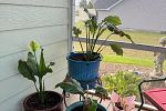 Sale Photo Thumbnail #3