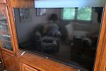 Sale Photo Thumbnail #302