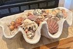 Sale Photo Thumbnail #19
