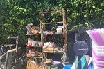 Sale Photo Thumbnail #281
