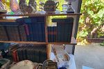 Sale Photo Thumbnail #89