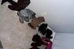 Sale Photo Thumbnail #26