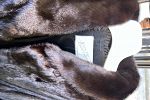 Sale Photo Thumbnail #130