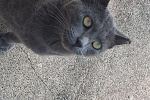 Sale Photo Thumbnail #15