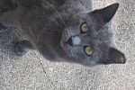 Sale Photo Thumbnail #19