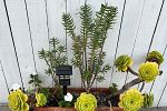Sale Photo Thumbnail #17