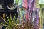 Sale Photo Thumbnail #13