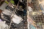 Sale Photo Thumbnail #3