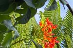 Sale Photo Thumbnail #30