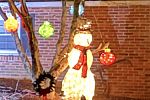 Sale Photo Thumbnail #21